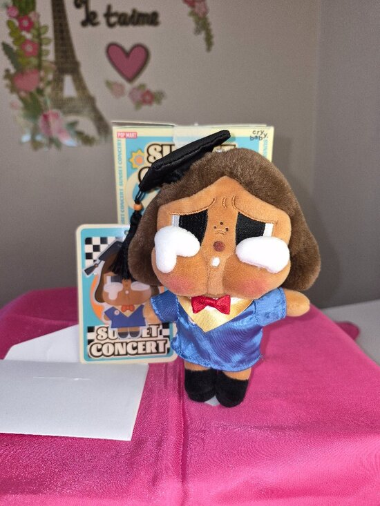 POP MART Other - NIB POP Mart Crybaby Sunset Concert Series Plush "Graduation Season Secret".